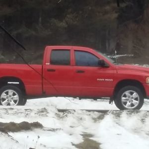 Meet your Posher, Shane